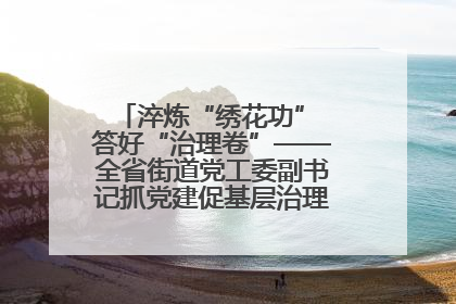 淬炼“绣花功” 答好“治理卷”——全省街道党工委副书记抓党建促基层治理培训示范班侧记
