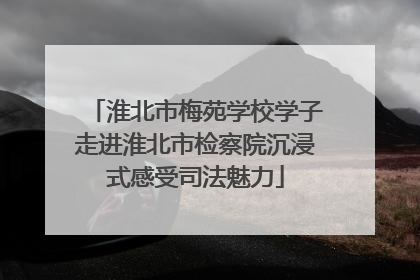 淮北市梅苑学校学子走进淮北市检察院沉浸式感受司法魅力
