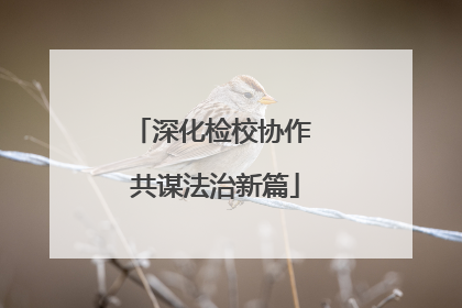 深化检校协作 共谋法治新篇