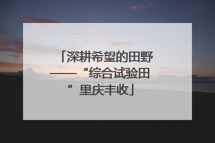 深耕希望的田野——“综合试验田”里庆丰收