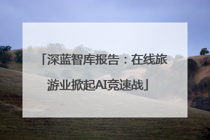 深蓝智库报告：在线旅游业掀起AI竞速战