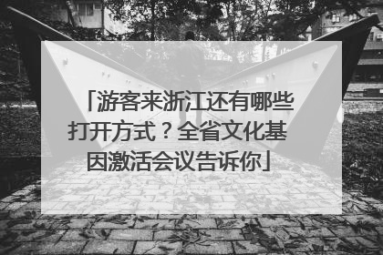 游客来浙江还有哪些打开方式？全省文化基因激活会议告诉你