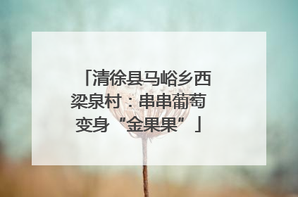 清徐县马峪乡西梁泉村：串串葡萄变身“金果果”