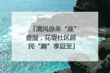 清风徐来“廉”香漫，花堤社区居民“趣”享夏至