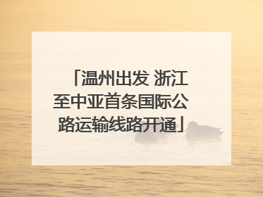 温州出发 浙江至中亚首条国际公路运输线路开通
