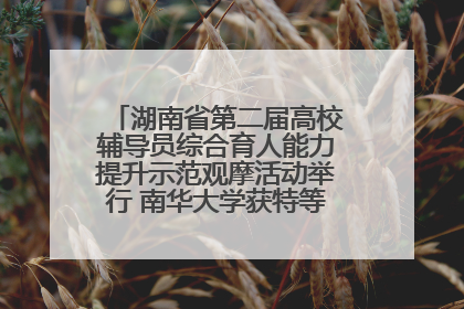 湖南省第二届高校辅导员综合育人能力提升示范观摩活动举行 南华大学获特等奖和一等奖