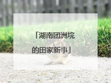 湖南团洲垸的田家新事
