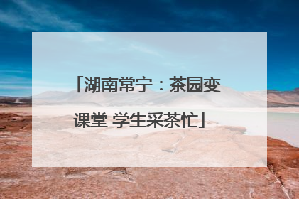 湖南常宁：茶园变课堂 学生采茶忙