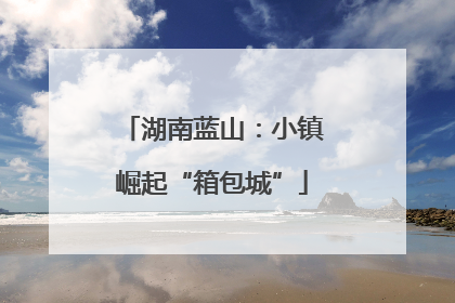湖南蓝山：小镇崛起“箱包城”