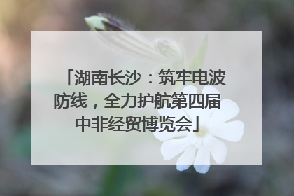 湖南长沙：筑牢电波防线，全力护航第四届中非经贸博览会