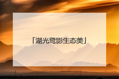 湖光鹭影生态美