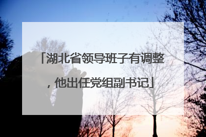 湖北省领导班子有调整，他出任党组副书记