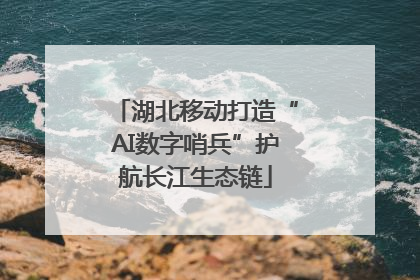 湖北移动打造“AI数字哨兵”护航长江生态链