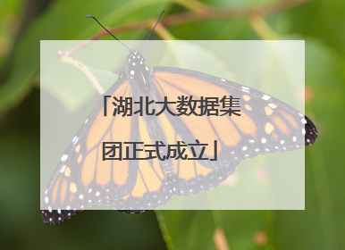 湖北大数据集团正式成立