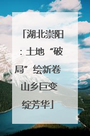 湖北崇阳：土地“破局”绘新卷 山乡巨变绽芳华