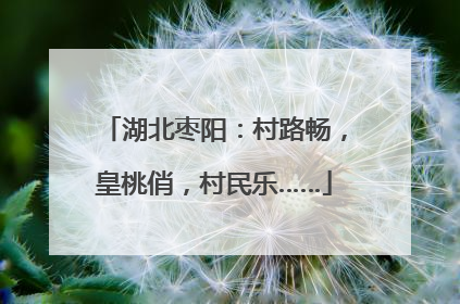 湖北枣阳：村路畅，皇桃俏，村民乐……