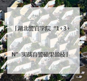 湖北警官学院“1+3+N”实战育警硕果盈枝