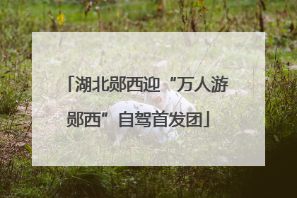 湖北郧西迎“万人游郧西”自驾首发团