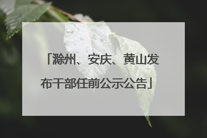 滁州、安庆、黄山发布干部任前公示公告