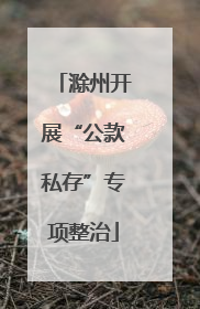 滁州开展“公款私存”专项整治