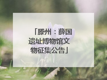 滕州：薛国遗址博物馆文物征集公告