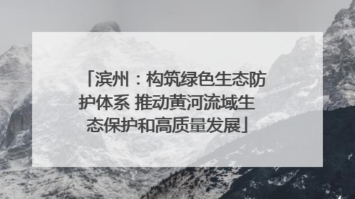 滨州：构筑绿色生态防护体系 推动黄河流域生态保护和高质量发展