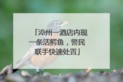 漳州一酒店内现一条活鳄鱼，警民联手快速处置