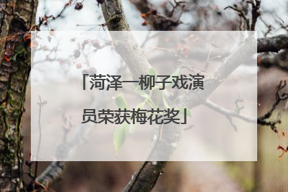 菏泽一柳子戏演员荣获梅花奖