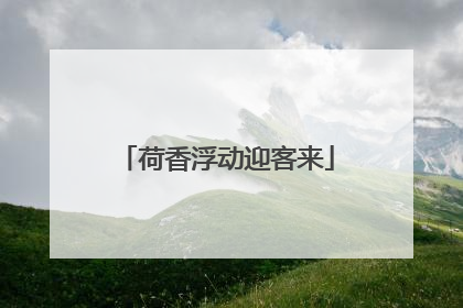荷香浮动迎客来