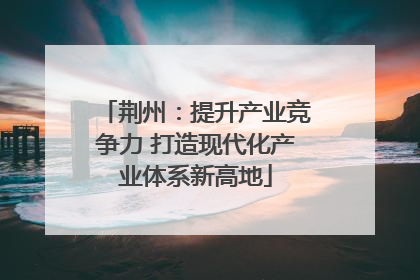 荆州：提升产业竞争力 打造现代化产业体系新高地