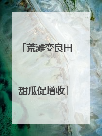 荒滩变良田 甜瓜促增收