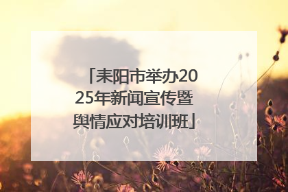 耒阳市举办2025年新闻宣传暨舆情应对培训班