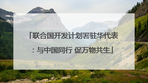 联合国开发计划署驻华代表：与中国同行 促万物共生