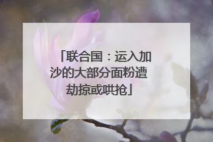 联合国：运入加沙的大部分面粉遭劫掠或哄抢