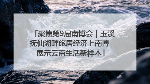 聚焦第9届南博会｜玉溪抚仙湖畔旅居经济上南博 展示云南生活新样本