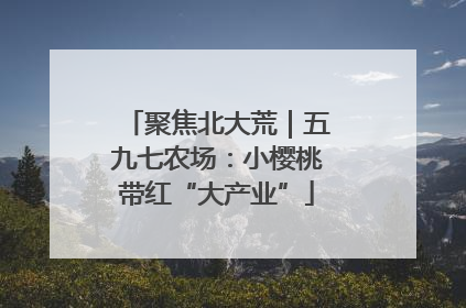 聚焦北大荒｜五九七农场：小樱桃带红“大产业”