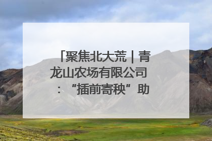 聚焦北大荒｜青龙山农场有限公司：“插前寄秧”助力农业节本增效