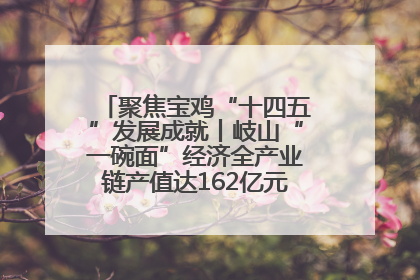 聚焦宝鸡“十四五”发展成就丨岐山“一碗面”经济全产业链产值达162亿元 入选全国典型县