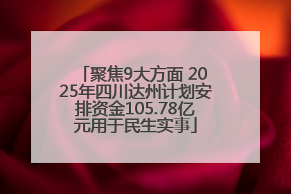 聚焦9大方面 2025年四川达州计划安排资金105.78亿元用于民生实事