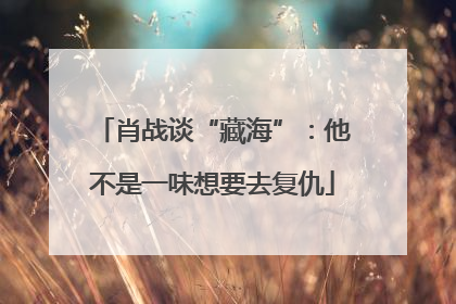 肖战谈“藏海”：他不是一味想要去复仇