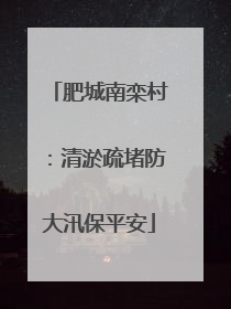 肥城南栾村：清淤疏堵防大汛保平安