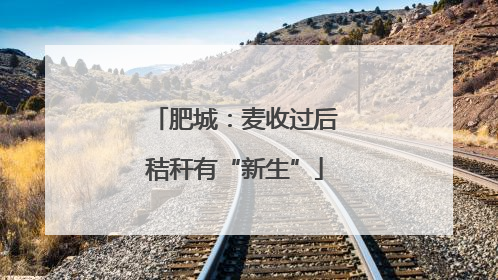 肥城：麦收过后秸秆有“新生”