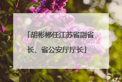 胡彬郴任江苏省副省长、省公安厅厅长