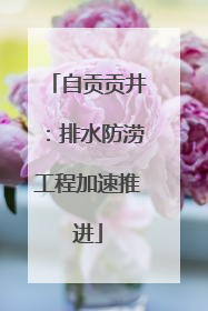 自贡贡井：排水防涝工程加速推进