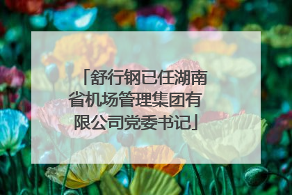 舒行钢已任湖南省机场管理集团有限公司党委书记
