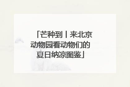 芒种到丨来北京动物园看动物们的夏日纳凉图鉴