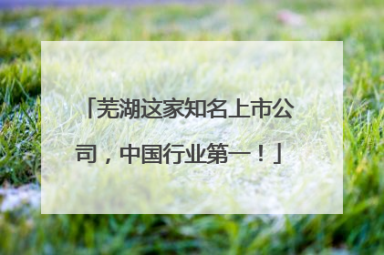 芜湖这家知名上市公司，中国行业第一！