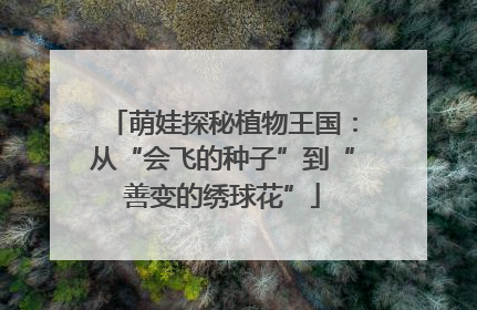 萌娃探秘植物王国：从“会飞的种子”到“善变的绣球花”