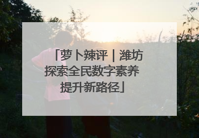 萝卜辣评｜潍坊探索全民数字素养提升新路径