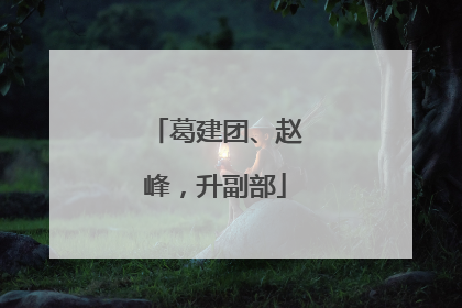 葛建团、赵峰，升副部